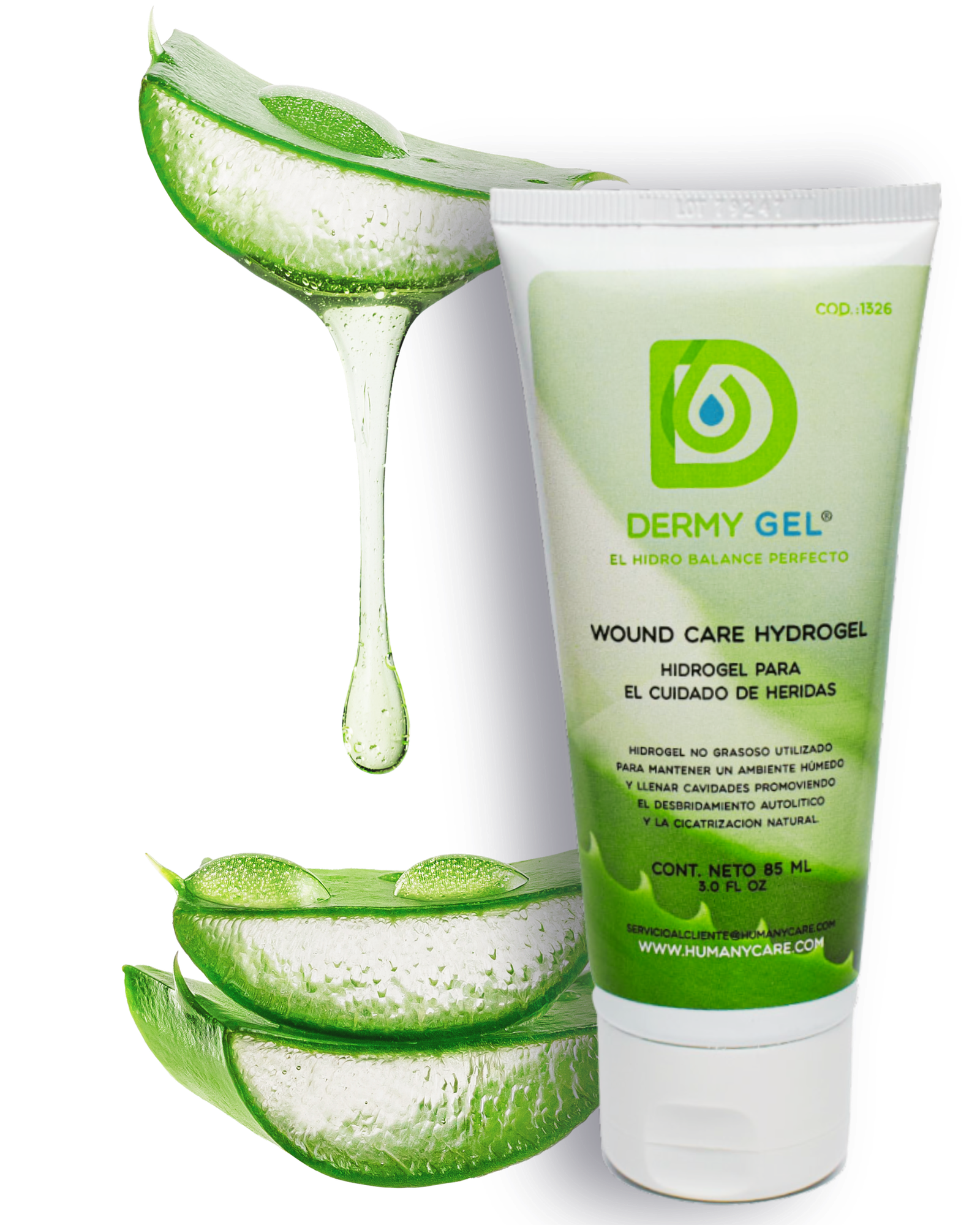 La imagen tiene un atributo ALT vacío; su nombre de archivo es HON-1-edited.png